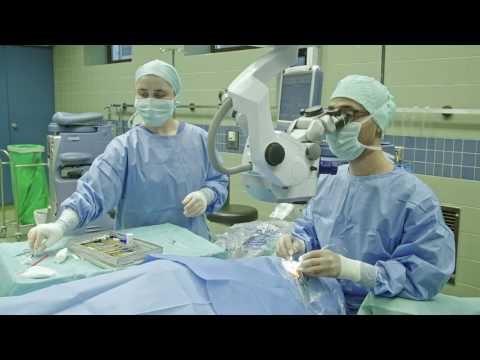 Dokumentation Grauer Star / Femto-Katarakt