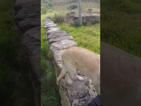 Essa fazenda foi de Alvarenga Peixoto, fez parte da Inconfidência Mineira. #minasgerais