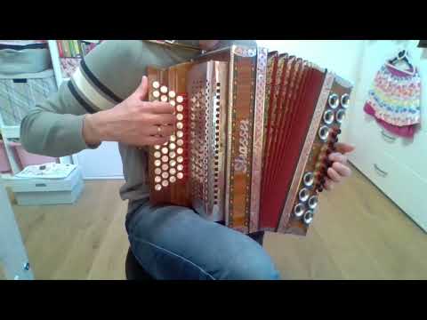 An der Zeit - Steirische Harmonika #eigenkomposition #volksmusik #ziach #quetschn #walzer #frühling