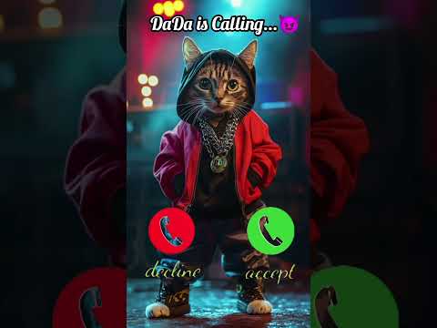 DaDa is calling Cute cat video #funny #cat #catlover #video