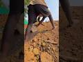 Ramzan Bucket Biryani Shorts Comedy Tamil Ramzan Youtubeshorts