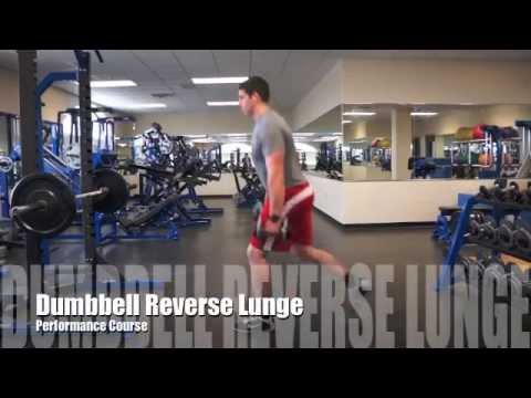 Dumbbell Reverse Lunge Video