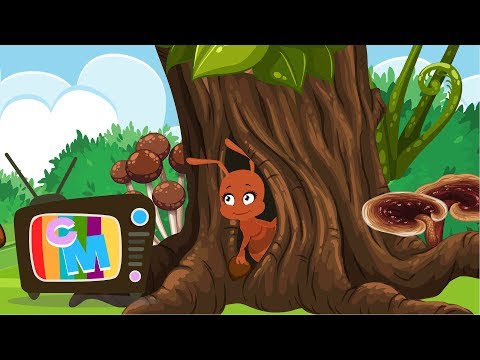 Furnicuta - Clopotelul Magic - cantece pentru copii