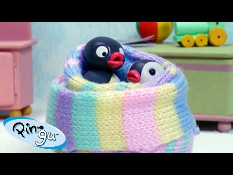Getting Stuff Done with Pingu 🐧 | Pingu – Official Channel | Cartoons For Kids - Kids (0-4), Kingdom Kids Zone - Pingu - Official Channel