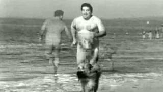 Companion Animal Placement: Beach