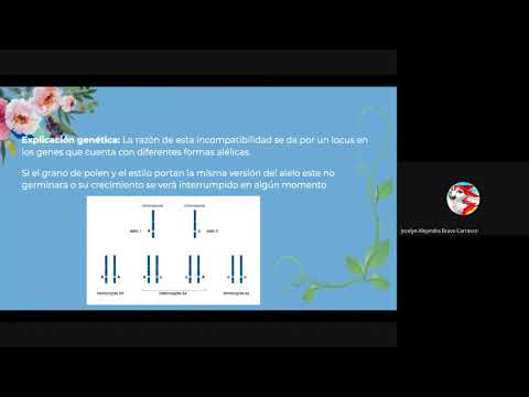 Sistemas de autoincompatibilidad: Gametofiticos, esporofíticos