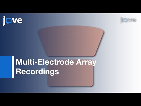 Multi-Electrode Array Recordings: Neuronal Avalanches In Organotypic Cultures l Protocol Preview