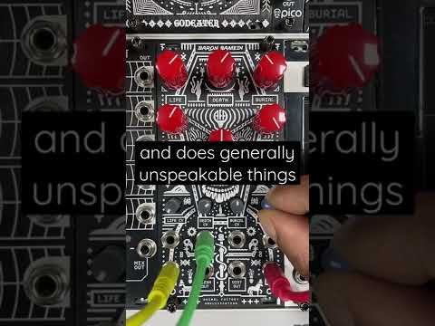 Animal Factory Baron Samedi v2 Eurorack Module - First Look!