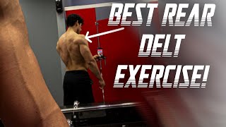 Single Arm Cable rear delt Fly | BEST EXERCISE FOR THE REAR DELTS!