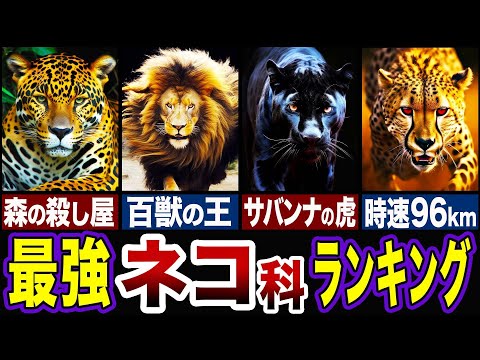 ジステンパーウイルスがヒマラヤの大型ネコ科動物を脅かす