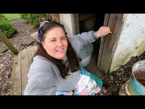 Micro Farm Life: How I Start the Day