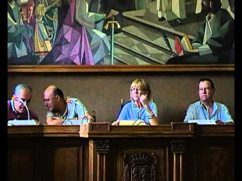 11 08 2010 Pleno urgente y extraordinario 051