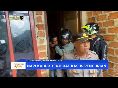 POLRESTA SORONG KOTA AMANKAN NAPI KABUR