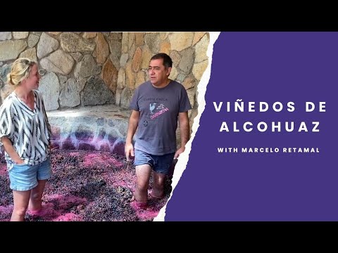 The art to Viñedos de Alcohuaz wines in Elqui with Marcelo Retamal