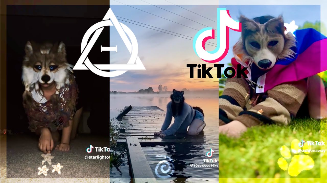 Therian, Quadrobics, & Kemonomimi TikTok Compilation 🐾🪱🪲|| Alterhumans of TikTok #93