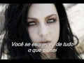 Taking Over Me-Evanescence (Tradução) 