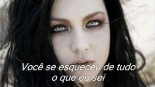 Taking Over Me-Evanescence (Tradução)