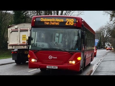 🌲🚍*Beast* TM Travel YN56 NRZ Scania Omnicity on Service 218