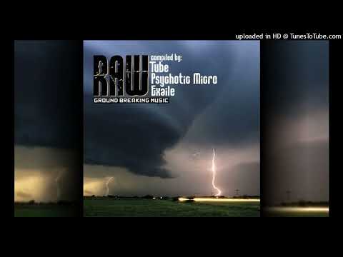 Psychotic Micro - Psychotic Voices