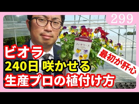 ブリエールについて詳しく解説