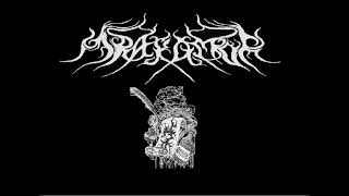 Video MRAKOMOR - VERŠE BÁSNÍKŮ Z NOCÍ BEZESNÝCH (POEMS FROM SLEEPLESS 