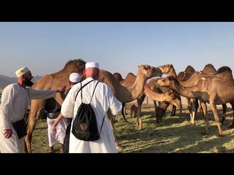 Tek devetë në shkretëtirë - Hoxhë Bekir Halimi
