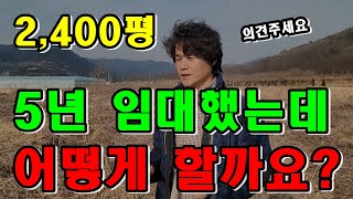 7년 묵은 논  5년 임대했어요. 어떻게하면 좋을까요? 무엇이든 물어보살에 출연 해야하나?   고수님 알려주…