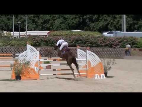 Rock Star Castellane - CSI3* San Giovanni 135 - 08/2014