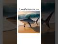it was all a dream... #memes #funny #funnyclips #tiktok #reels #shorts