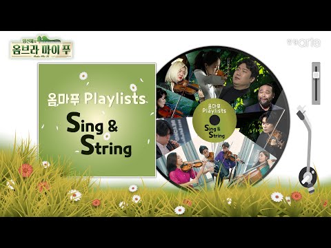 5회