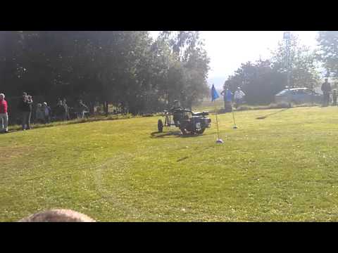 16  Mops Rennen in Hachelbich 2