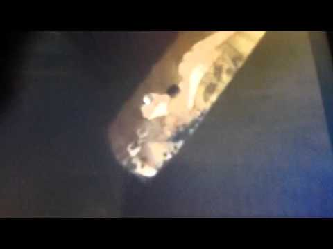 Tanyahontas part 9 - mine mine mine