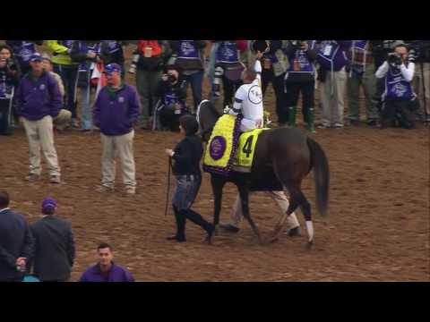 Curalina, Stopchargingmaria, Sheer Drama Lead Phipps Field