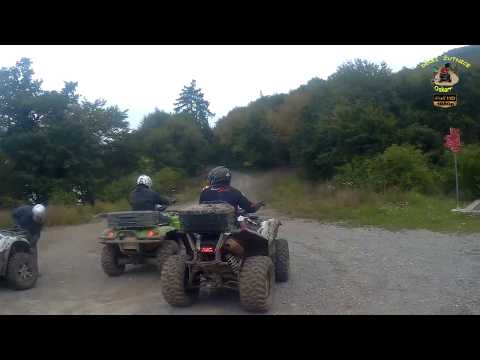 401.DEČKI ŽUTNICE - Prema Presećini