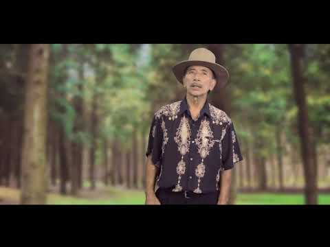 Zira Hnamte - Nunhlui Dam Takin (Official Music Video)