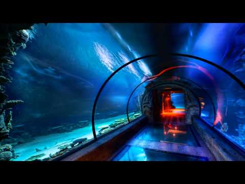 Tunnel Trance Force Volume 9: Disk One: Love MIx