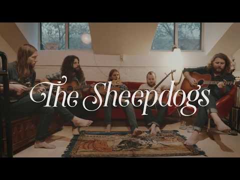 The Sheepdogs - Old man (Neil Young Cover)