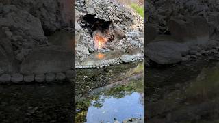 🇹🇼Travelogue - Enteral fire #taiwan #tainan #fire