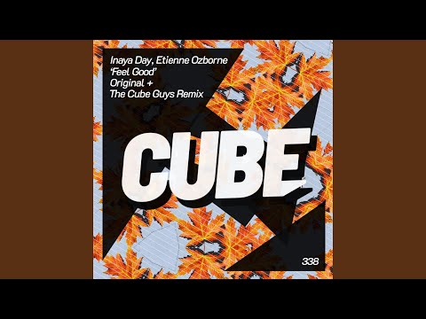 Feel Good (The Cube Guys Remix)