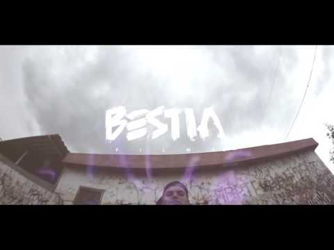 Neto reyno confección