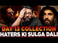 Dhurandhar Day 13 Shocking Box Office Collection Dhurandhar Box Office Collection India
