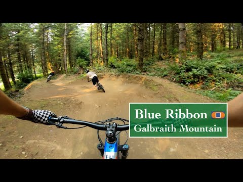 Blue Ribbon - Galbraith Mountain in Bellingham, WA