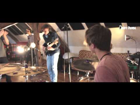 PIMPY PANDA - No More Stupid