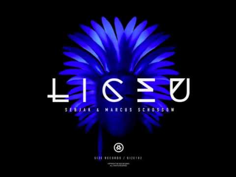 Sebjak & Marcus Schossow - Liceu (Original Mix)