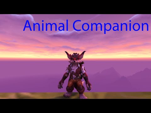 Animal companion - beast mastery hunter pvp 8.3