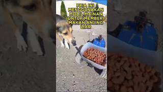 Download lagu This Man Uses His Toy Car to Feed Stray Dogs 🐶☺ #shorts #dog mp3
