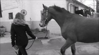 Herzlich Willkommen zu Hause ♥