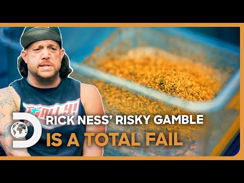 Rick Ness’ RISKY Gamble Completely FAILS With A Disappointing $20,000 Haul | Gold Rush