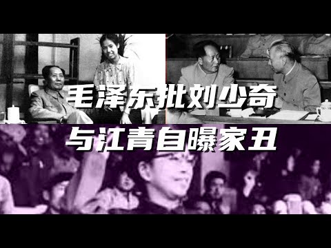 文化大革命19，刘少奇兵败工作组，江青闹北大自曝家丑，毛泽东和林彪的野亲戚关系，毛泽东的亲家母张文秋克死仨丈夫，毛新宇身世之谜，毛岸青老婆张少华和她的男人们。#毛泽东#中国政治#文化大革命#中共#文革