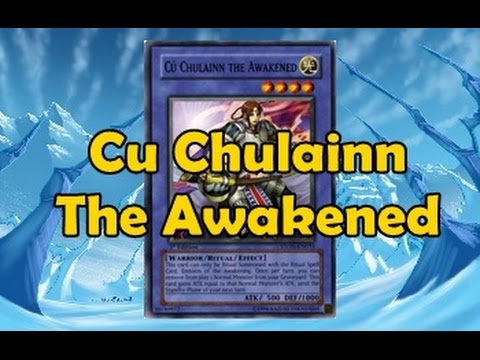 Cu Chulainn The Awakened FaDe
